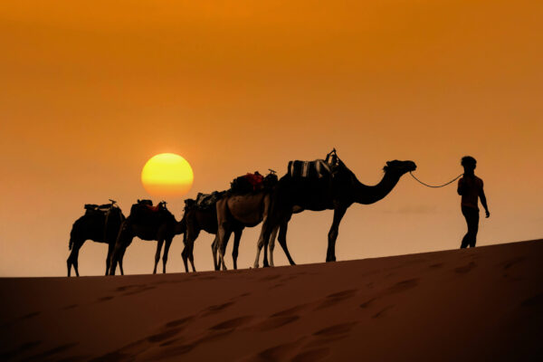 desert morocco