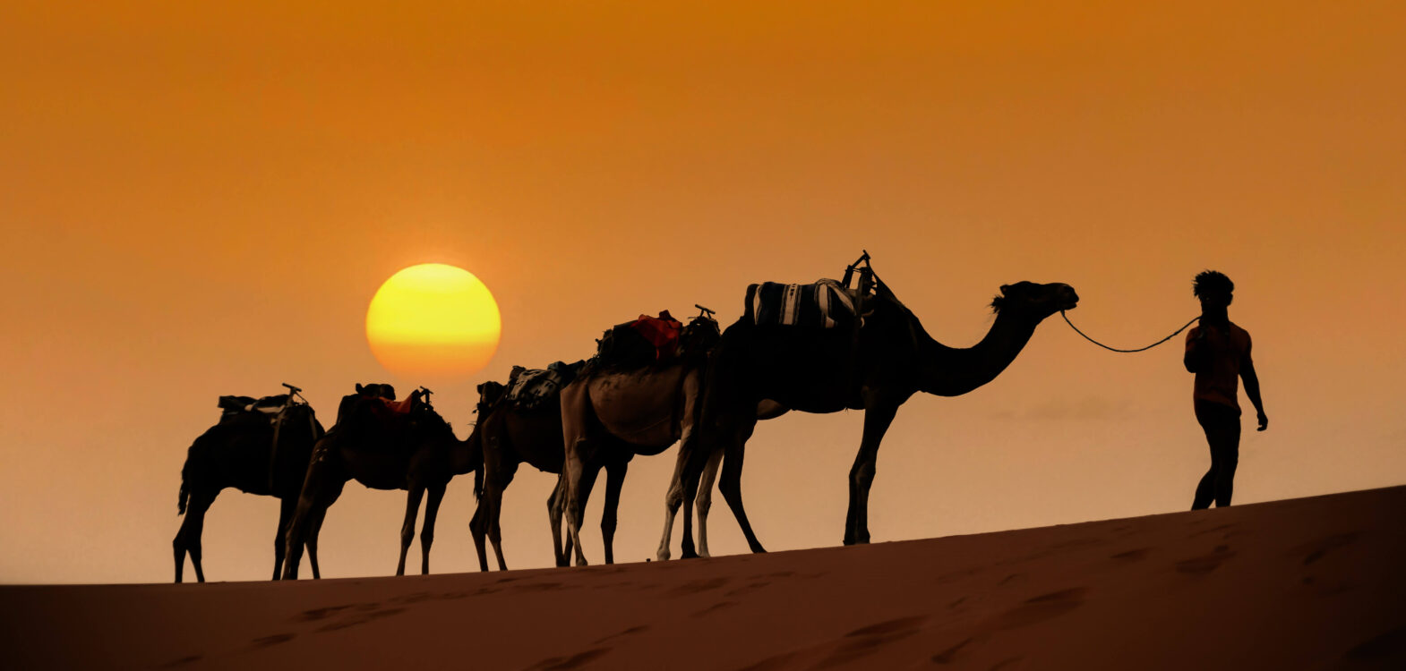 Private guided tours in Morocco